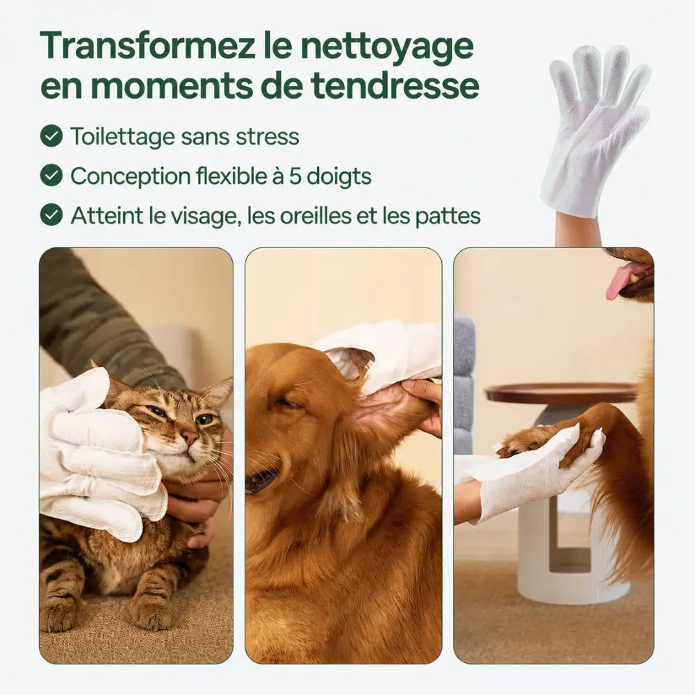 Gants nettoyant anti-saleté & anti-odeurs