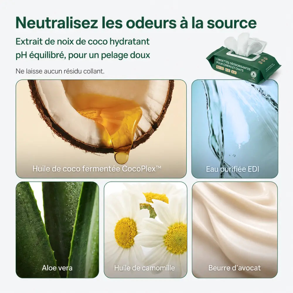 Gants nettoyant anti-saleté & anti-odeurs