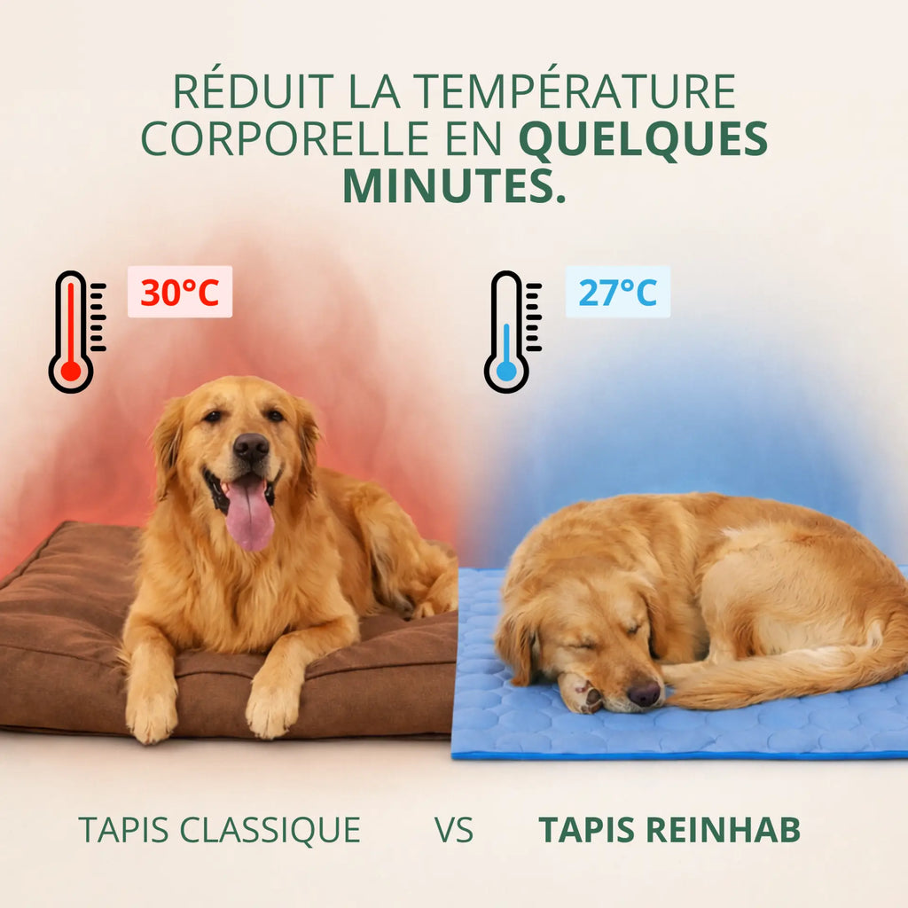 Tapis rafraîchissant ChillPaws™