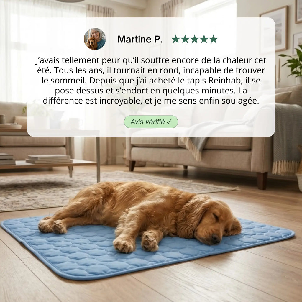 Tapis rafraîchissant ChillPaws™