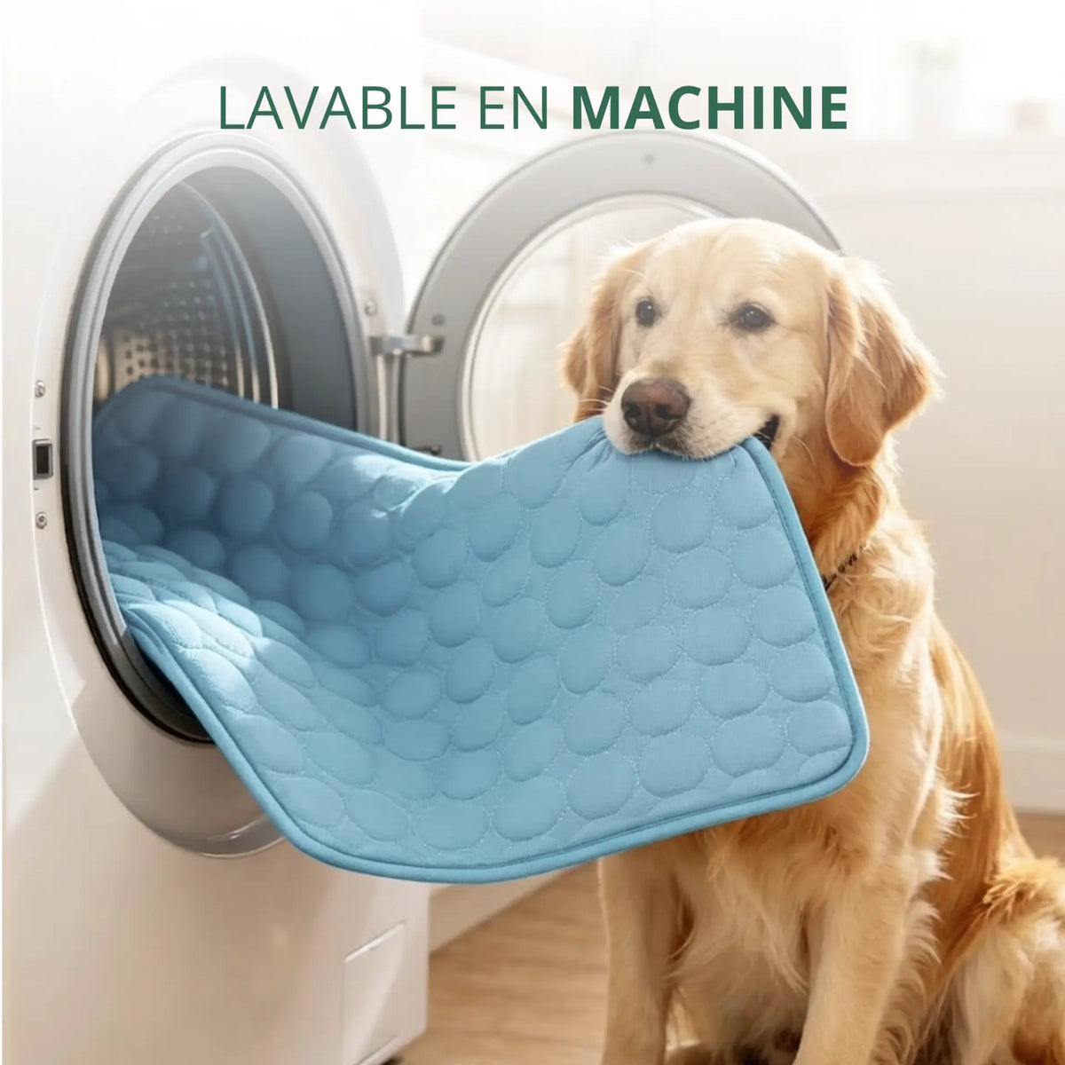 Tapis rafraîchissant ChillPaws™