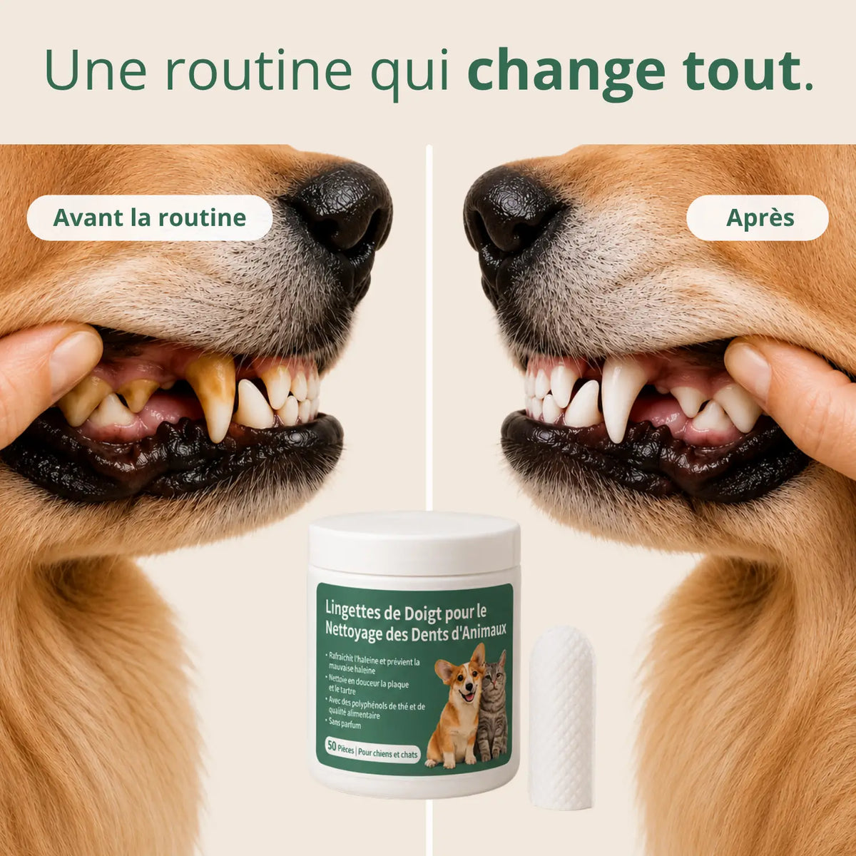Lingettes Dentaires Anti-tartre