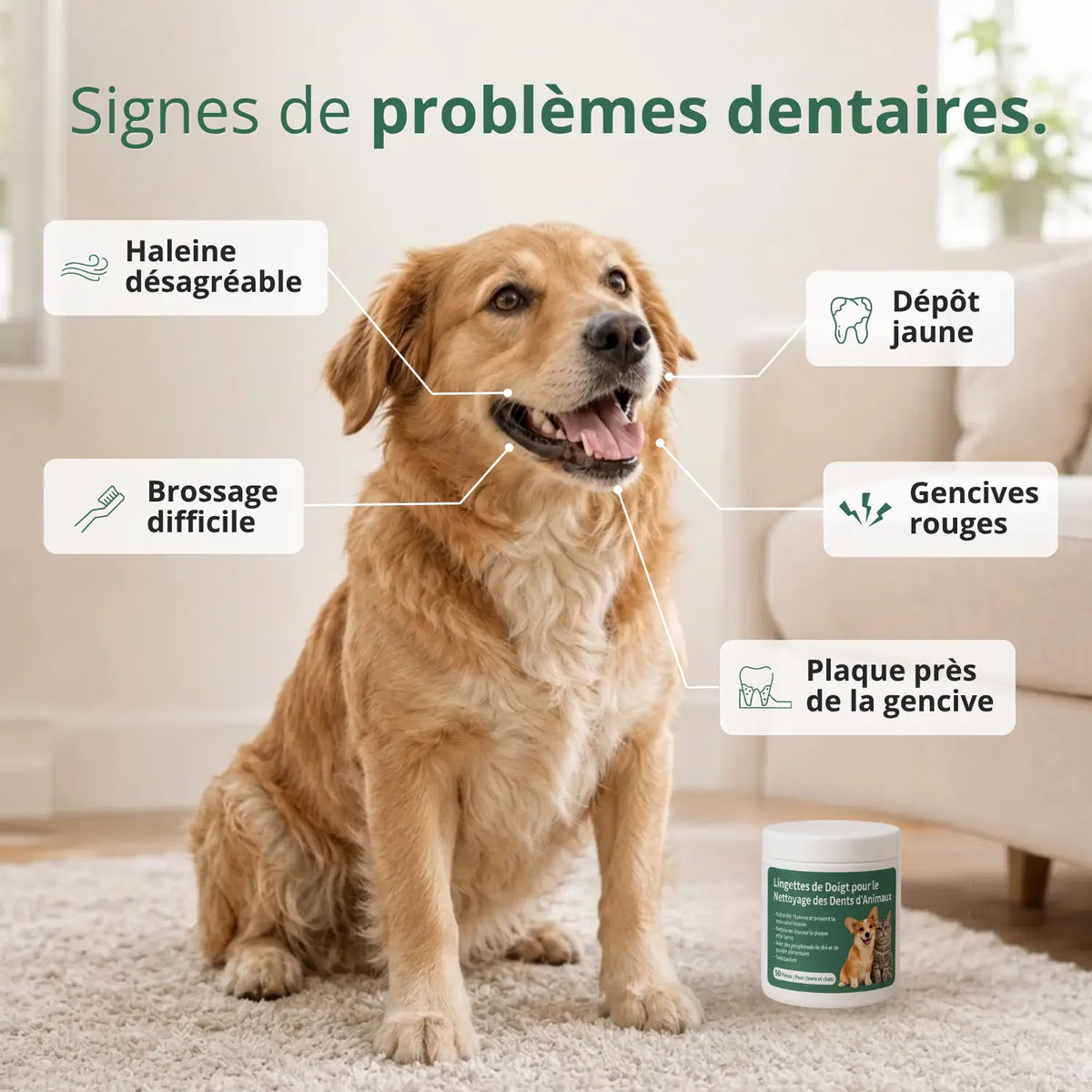 Lingettes Dentaires Anti-tartre