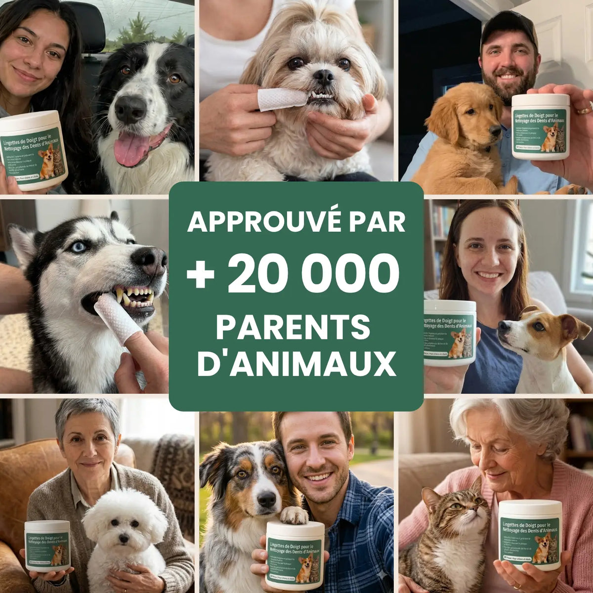 Lingettes Dentaires Anti-tartre