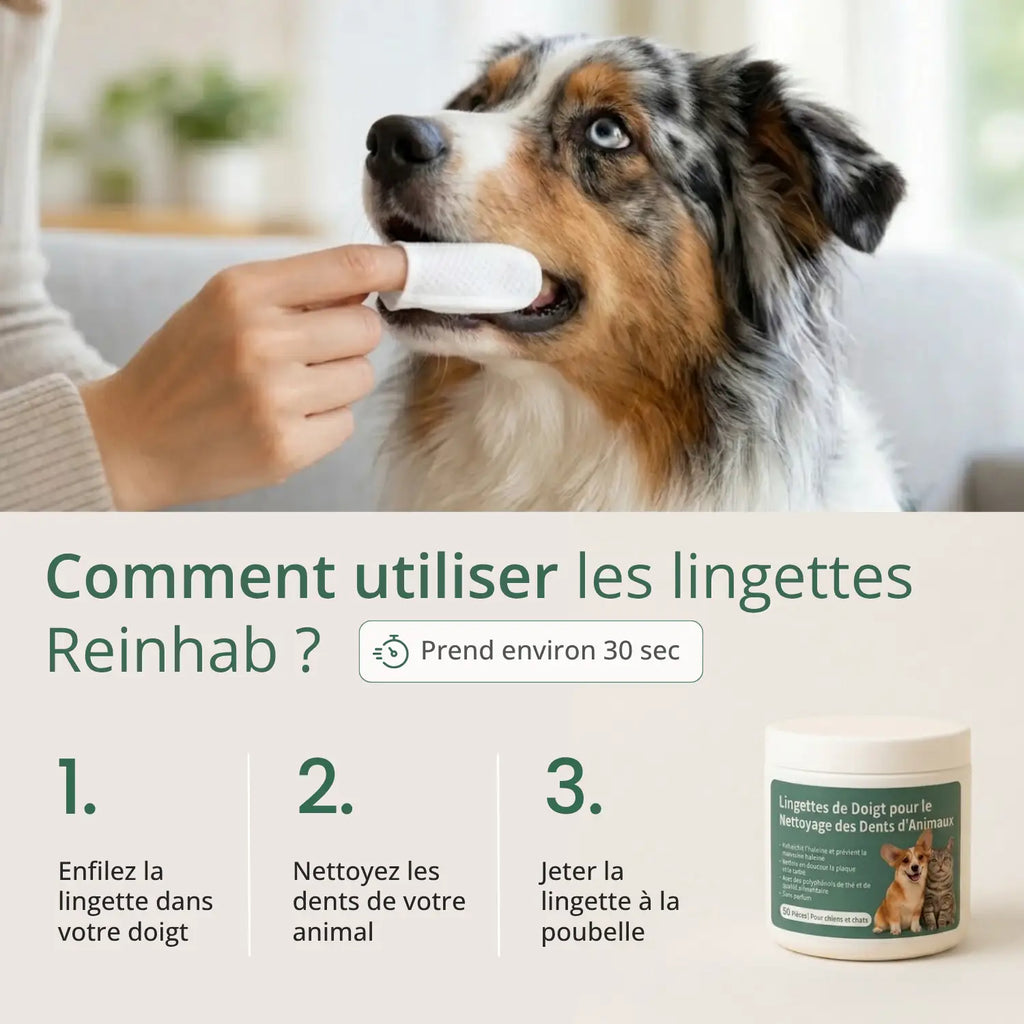 Lingettes Dentaires Anti-tartre
