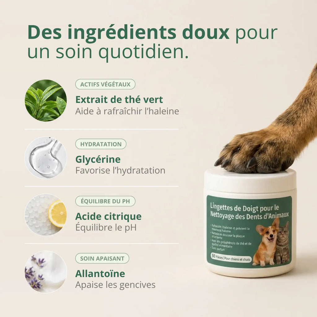 Lingettes Dentaires Anti-tartre