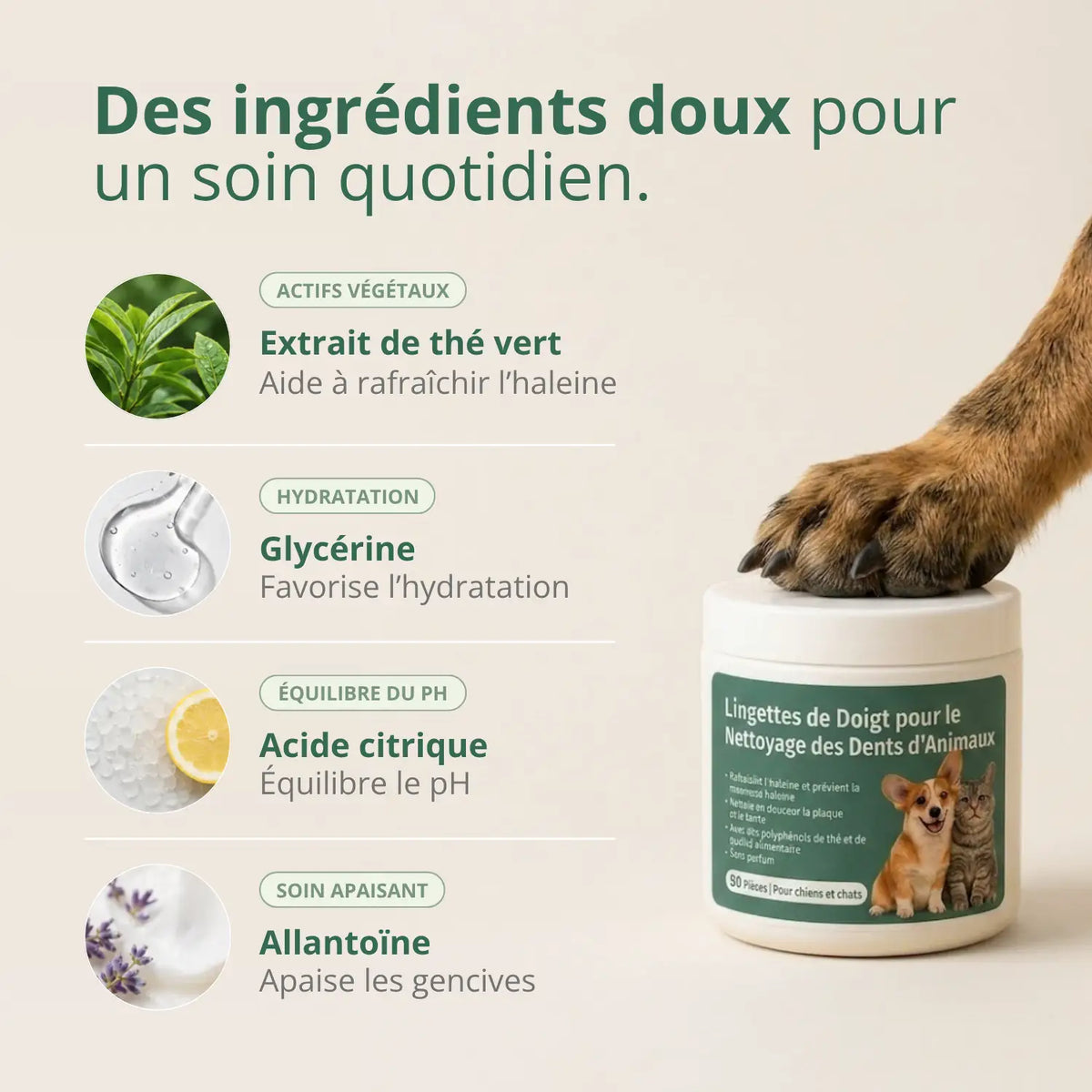 Lingettes Dentaires Anti-tartre