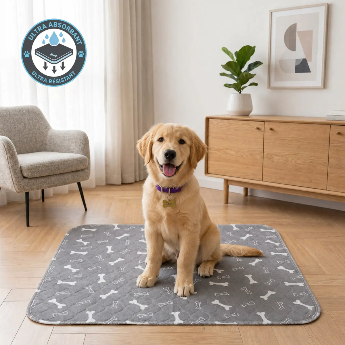 Tapis de propreté. Le dernier que vous achèterez.
