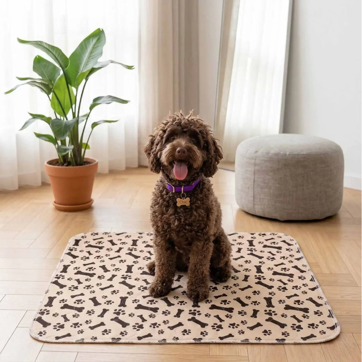 Tapis de propreté. Le dernier que vous achèterez.