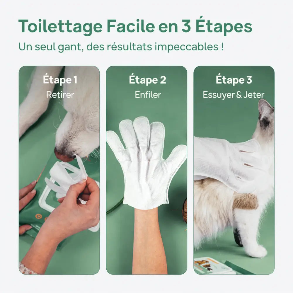 Gants nettoyant anti-saleté & anti-odeurs