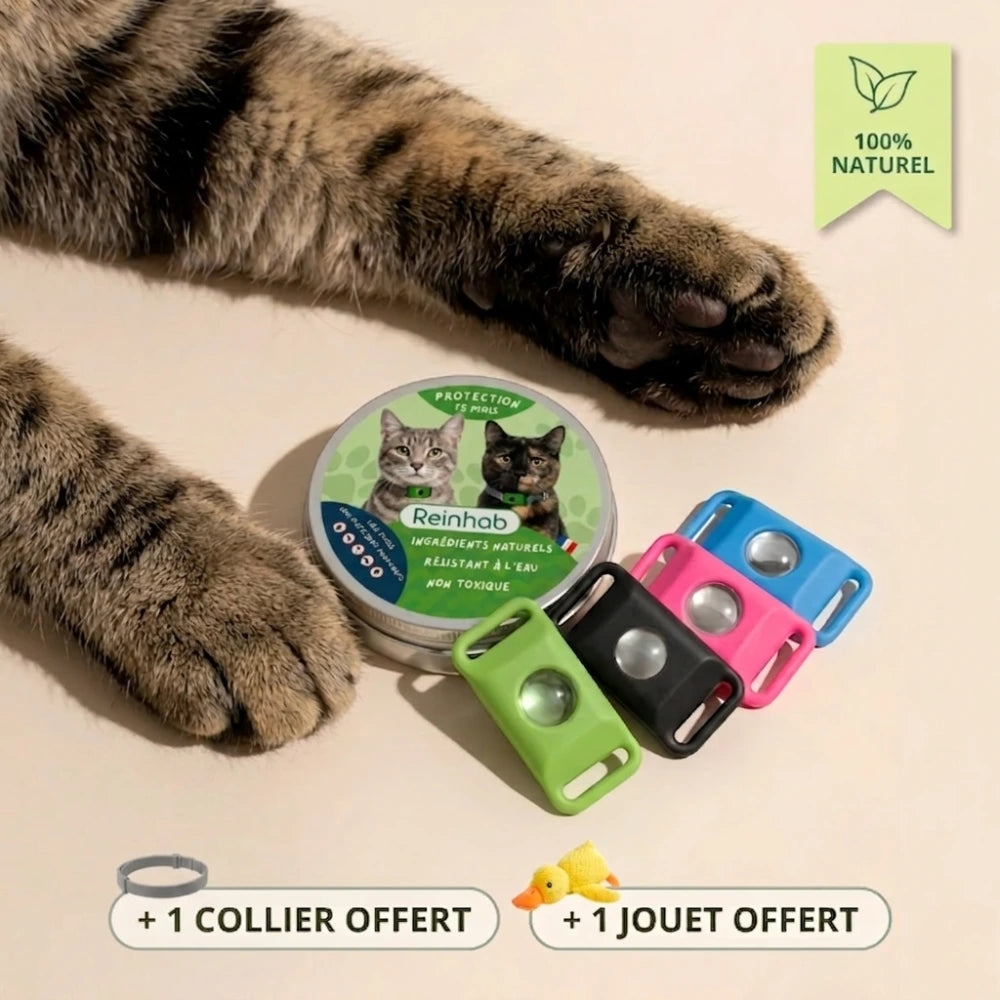 Médaillon Répulsif Naturel pour chat
