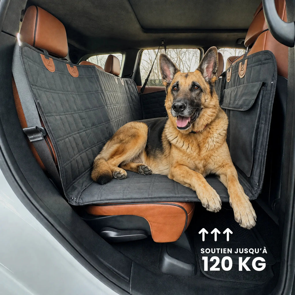Housse de Protection Voiture pour Chien avec Base Rigide