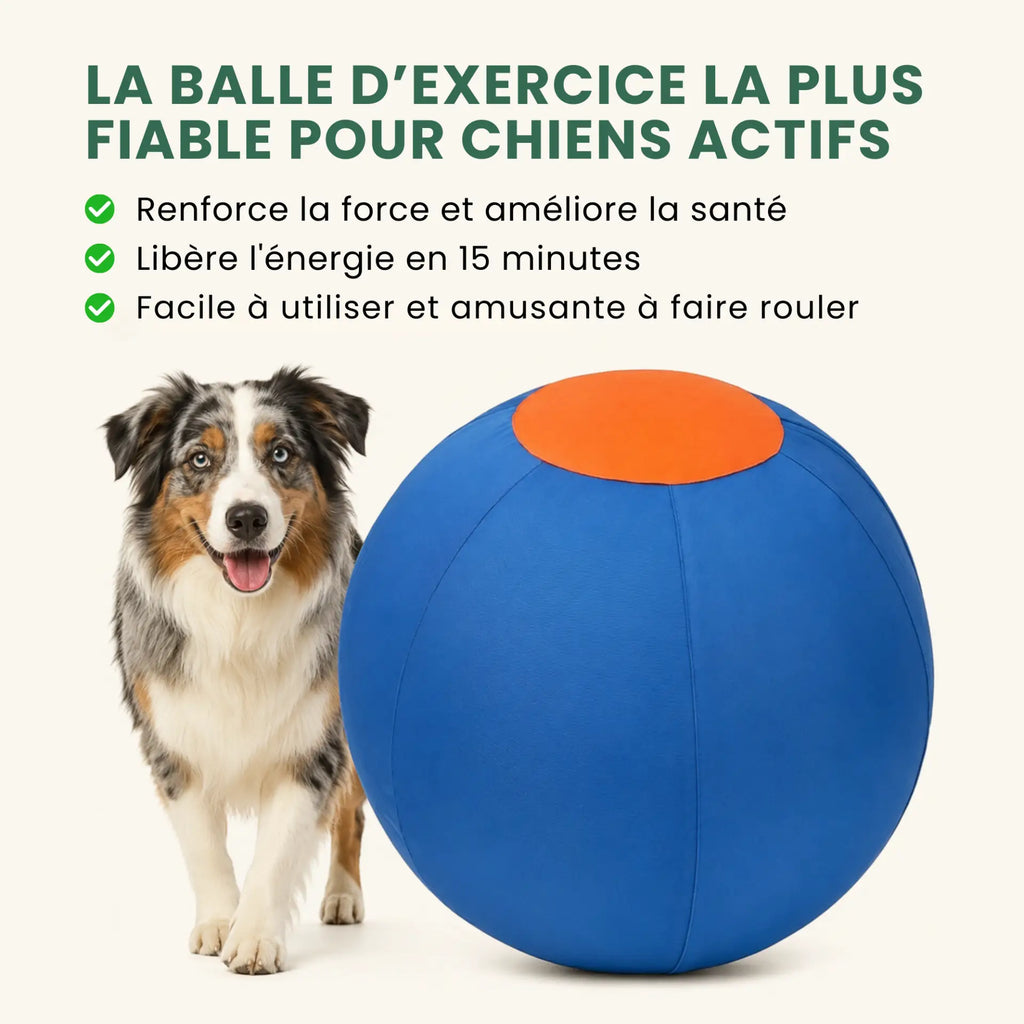 Balle de berger – Pour chiens infatigables