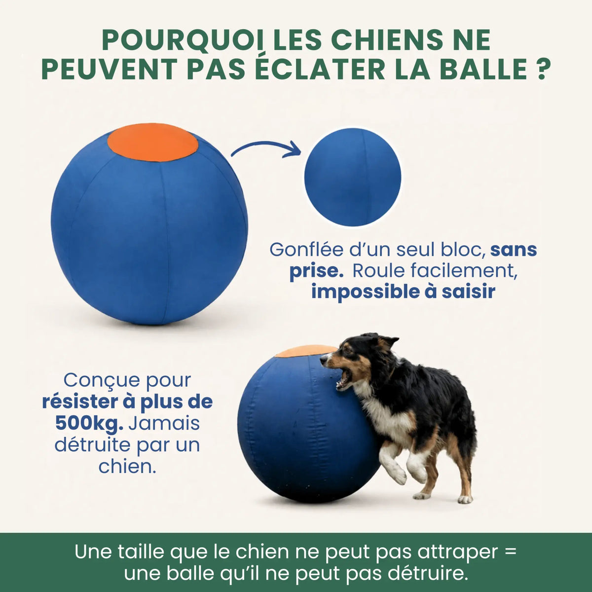 Balle de berger – Pour chiens infatigables