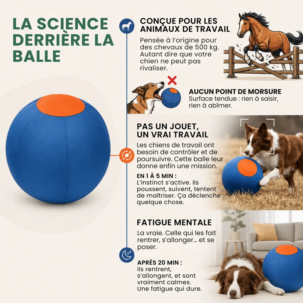 Balle de berger – Pour chiens infatigables