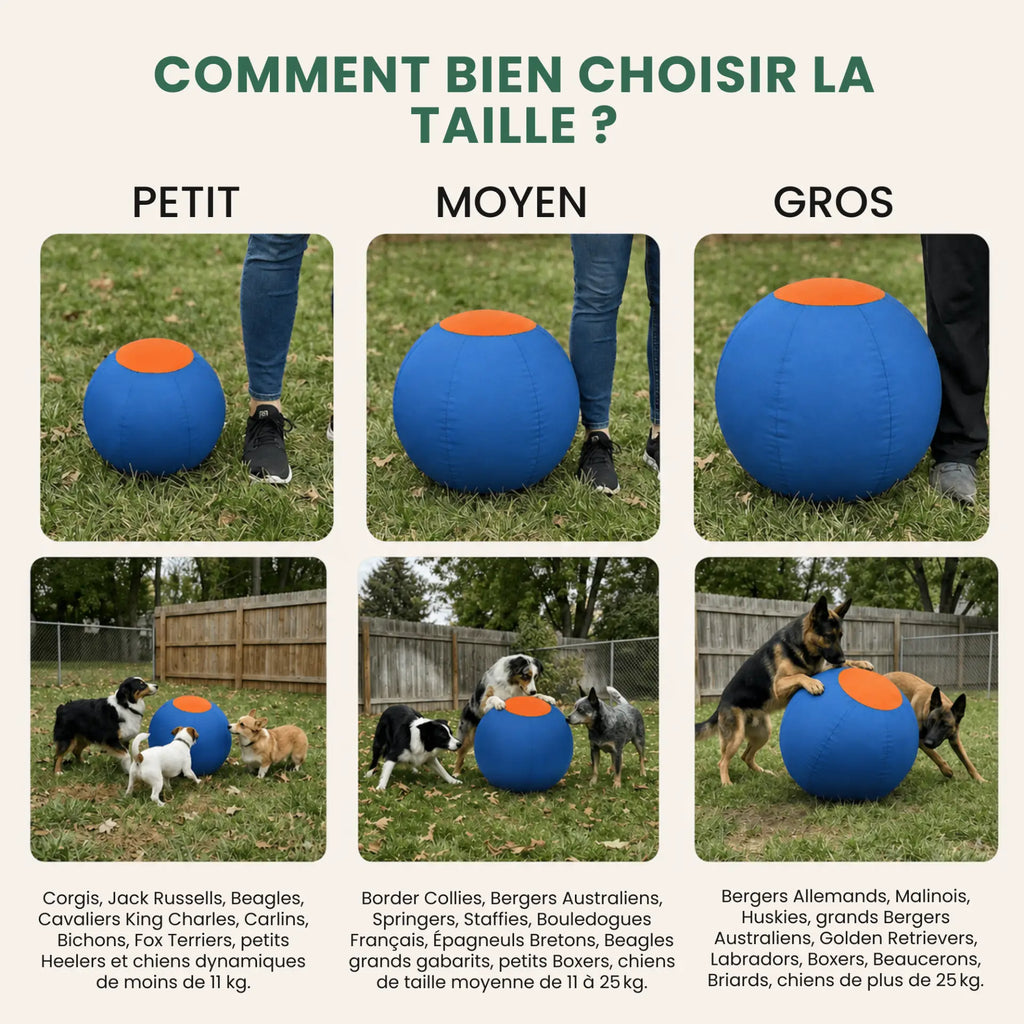Balle de berger – Pour chiens infatigables