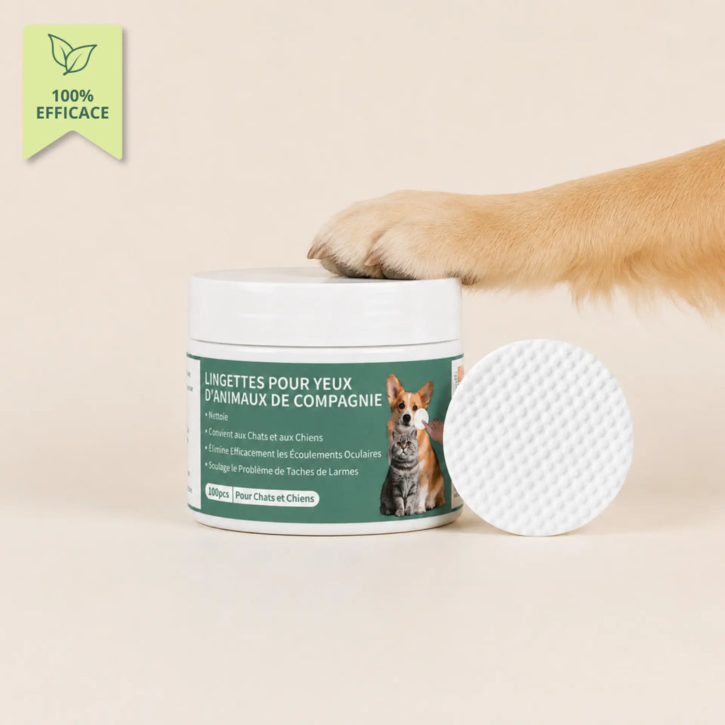 Lingettes Anti-infections des Yeux