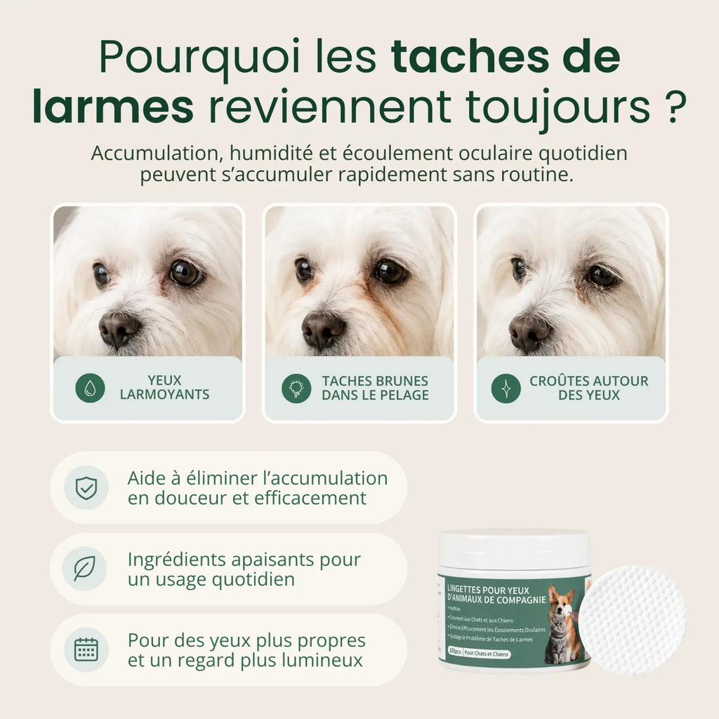Lingettes Anti-infections des Yeux