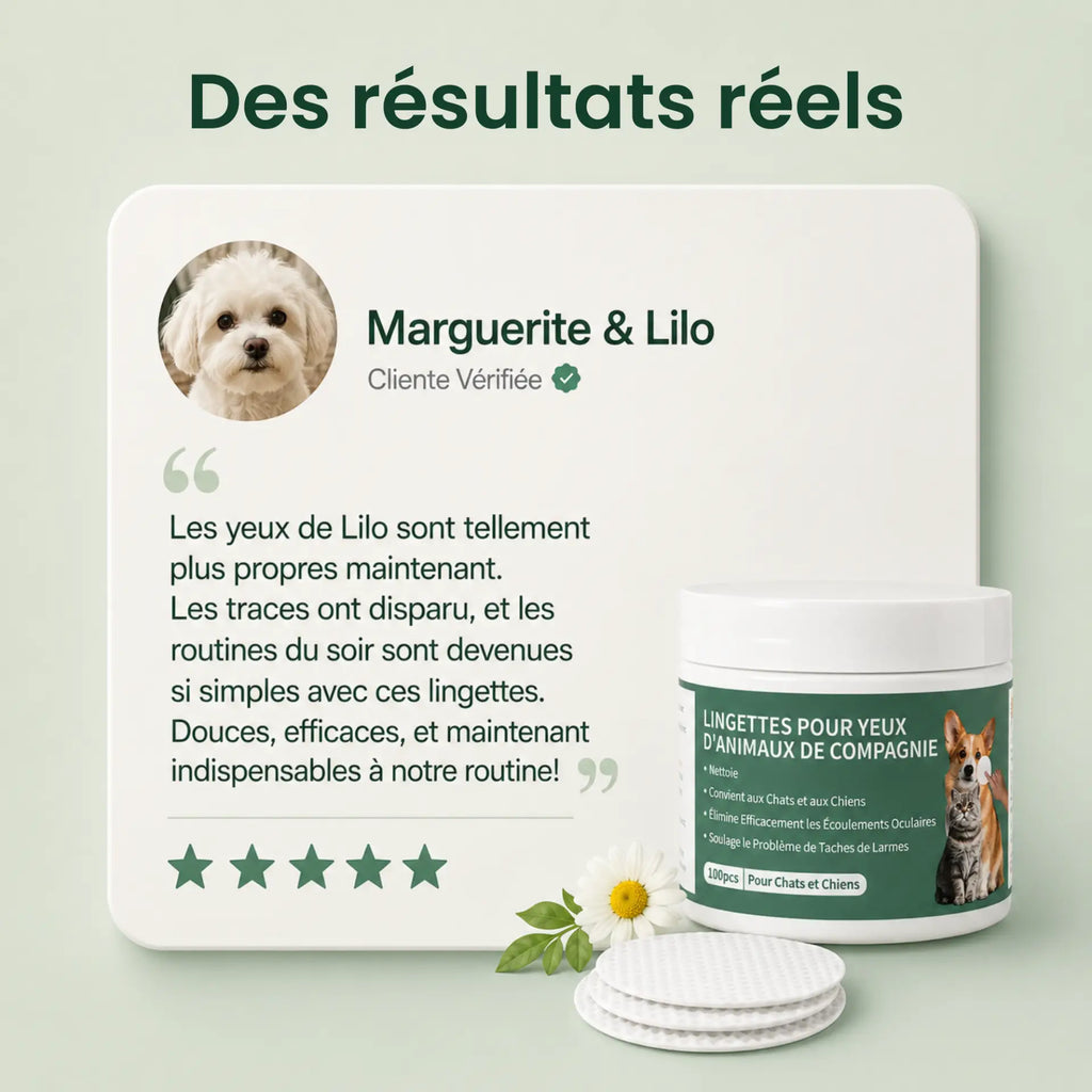 Lingettes Anti-infections des Yeux