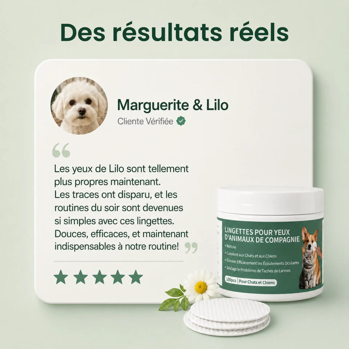 Lingettes Anti-infections des Yeux