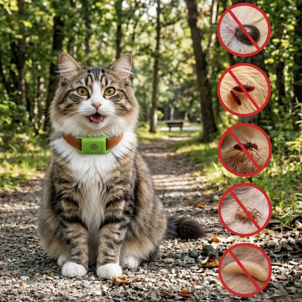 Médaillon Répulsif Naturel pour chat