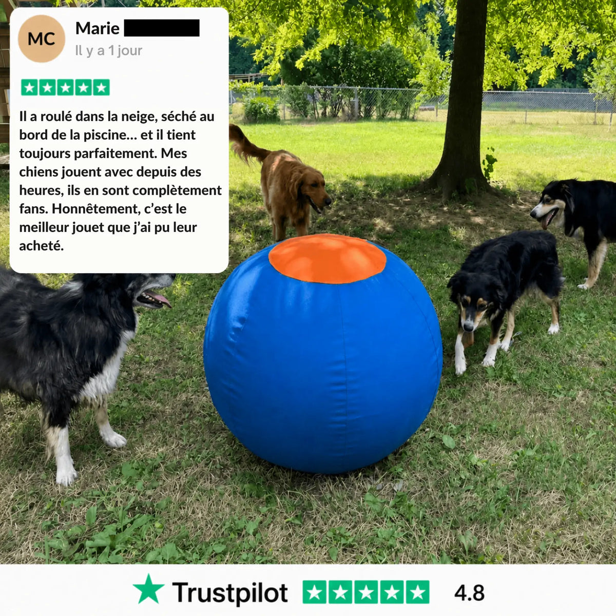 Balle de berger – Pour chiens infatigables