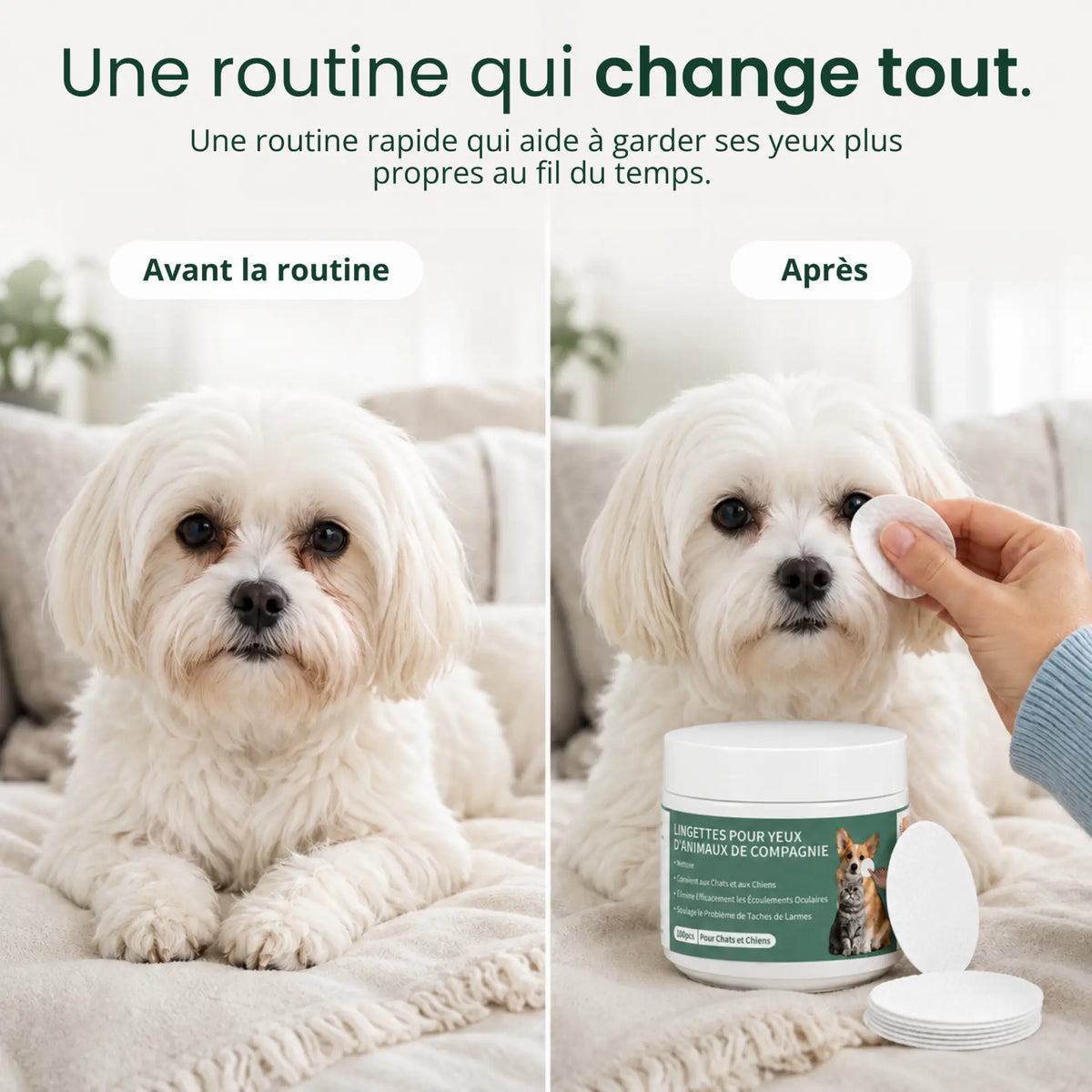 Lingettes Anti-infections des Yeux