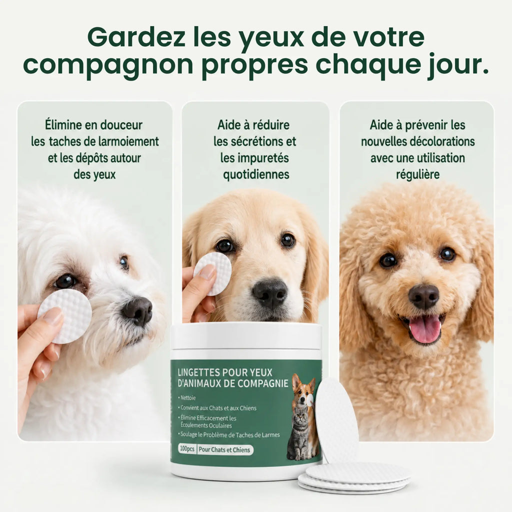 Lingettes Anti-infections des Yeux