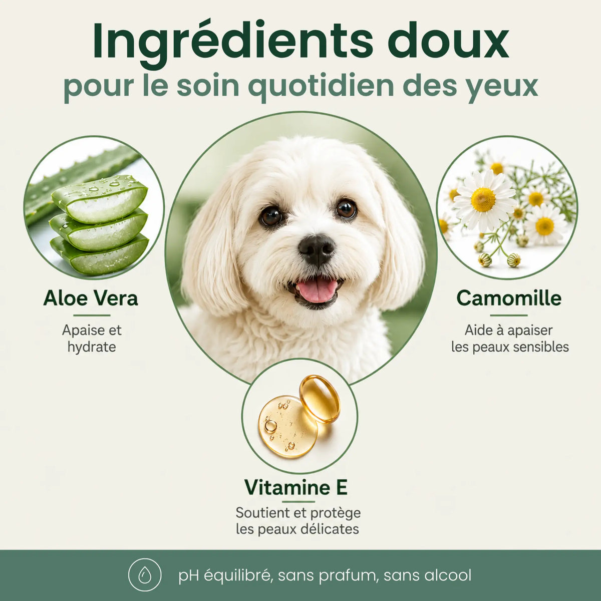 Lingettes Anti-infections des Yeux