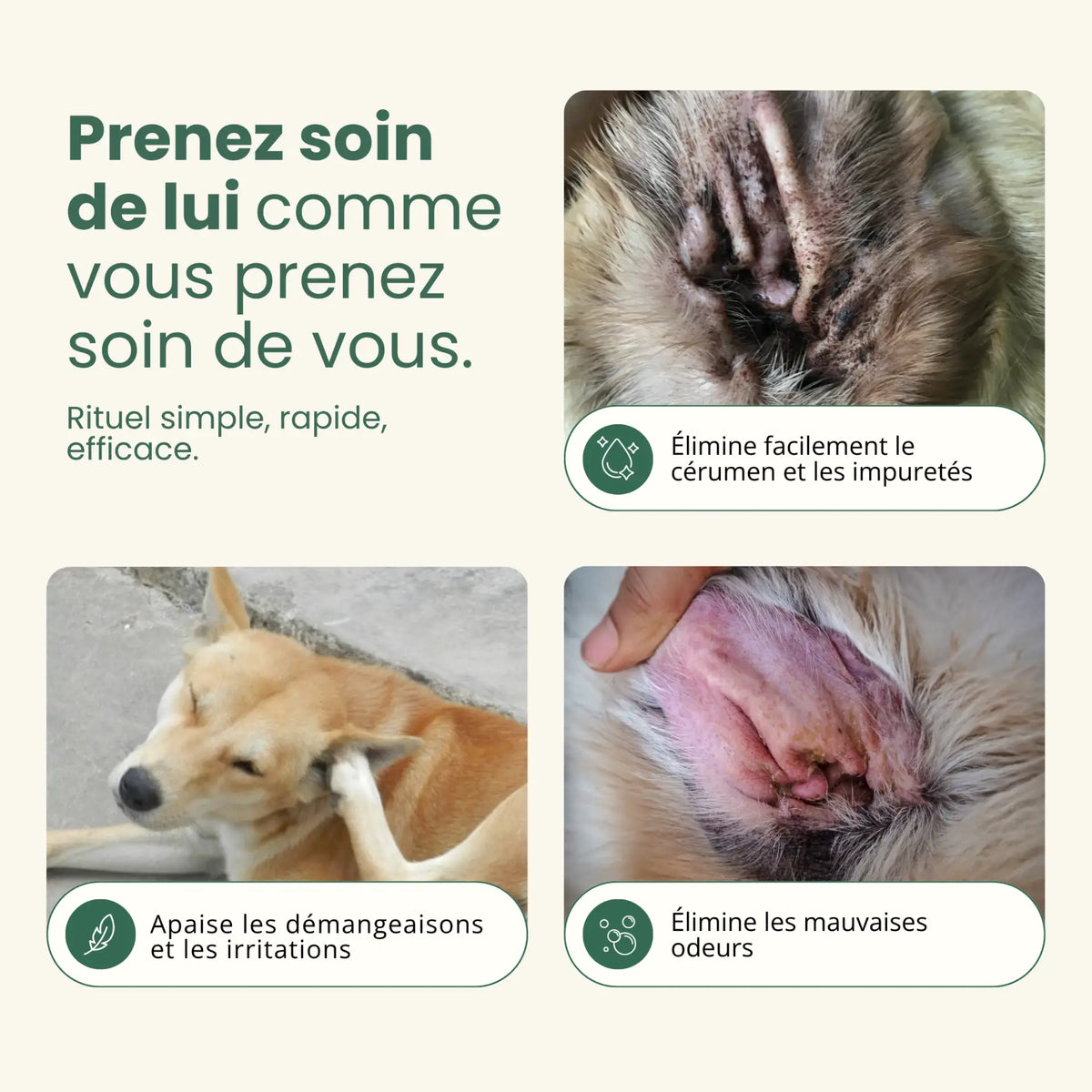 Lingettes Anti-bactéries pour oreilles