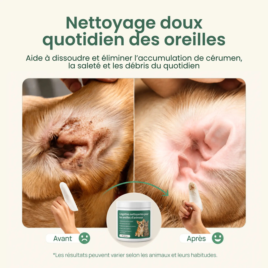 Lingettes Anti-bactéries pour oreilles
