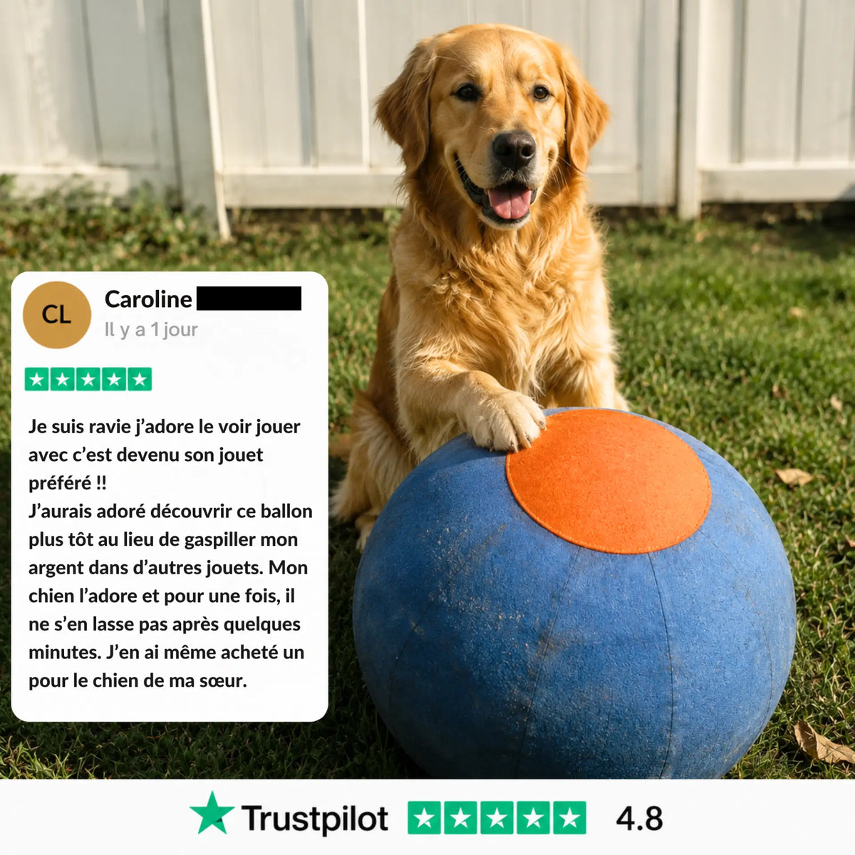 Balle de berger – Pour chiens infatigables