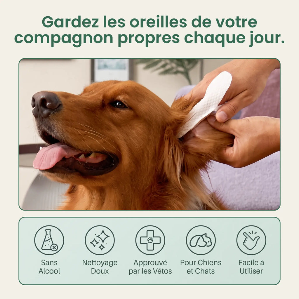Lingettes Anti-bactéries pour oreilles