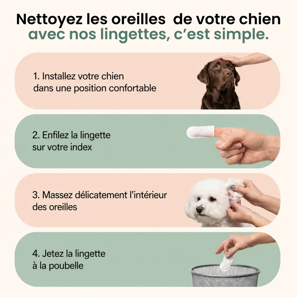Lingettes Anti-bactéries pour oreilles