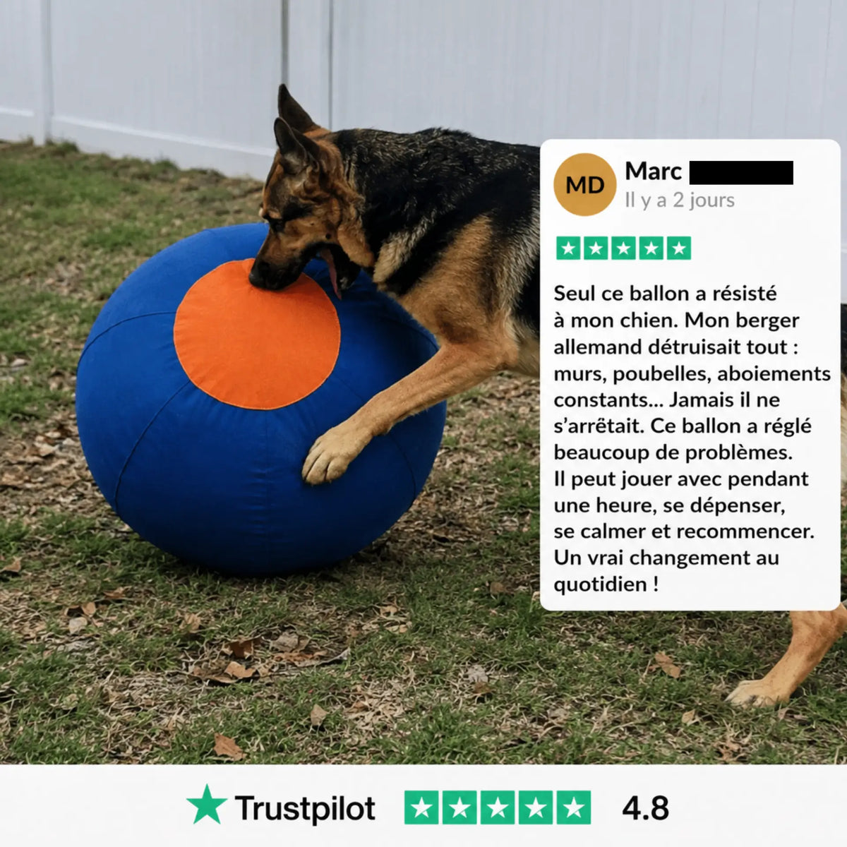 Balle de berger – Pour chiens infatigables