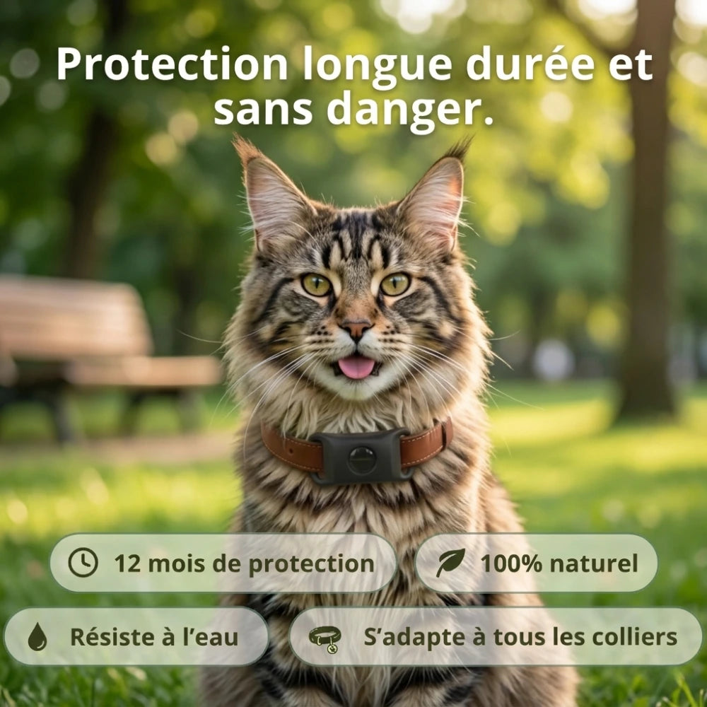 Médaillon Répulsif Naturel pour chat
