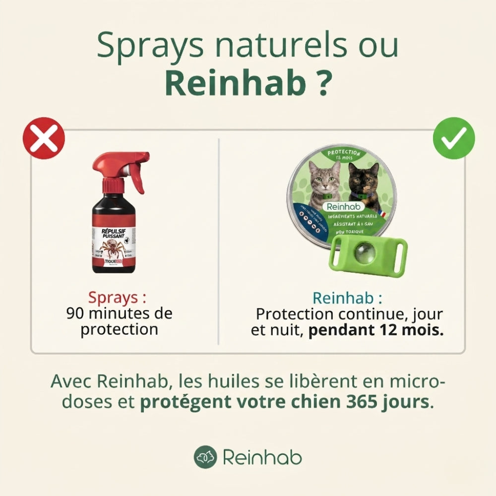 Médaillon Répulsif Naturel pour chat