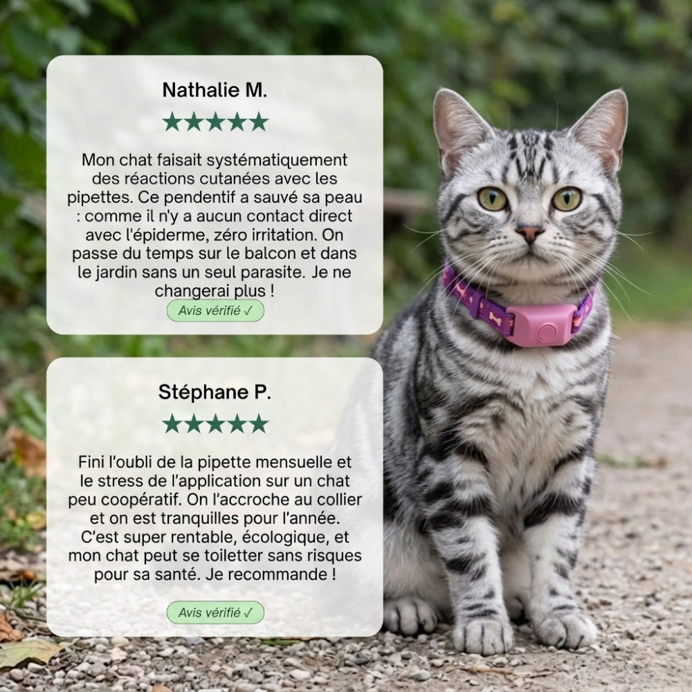 Médaillon Répulsif Naturel pour chat