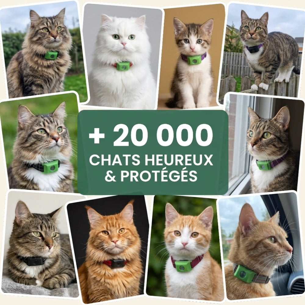 Médaillon Répulsif Naturel pour chat