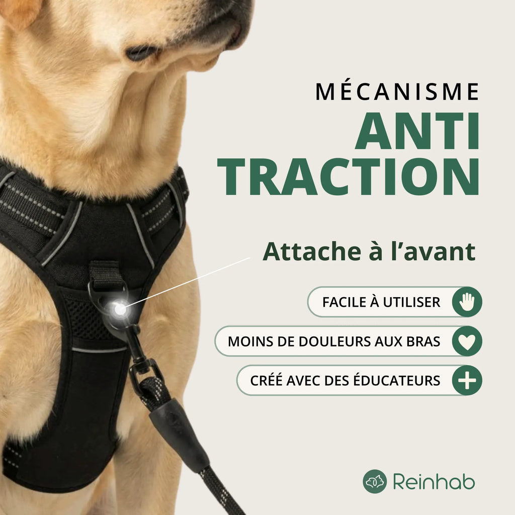 HARNAIS ANTI-TRACTION