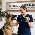 Dr. Hélène Lambert