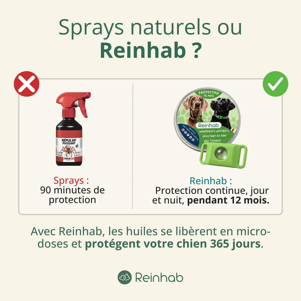 Médaillon Répulsif Naturel