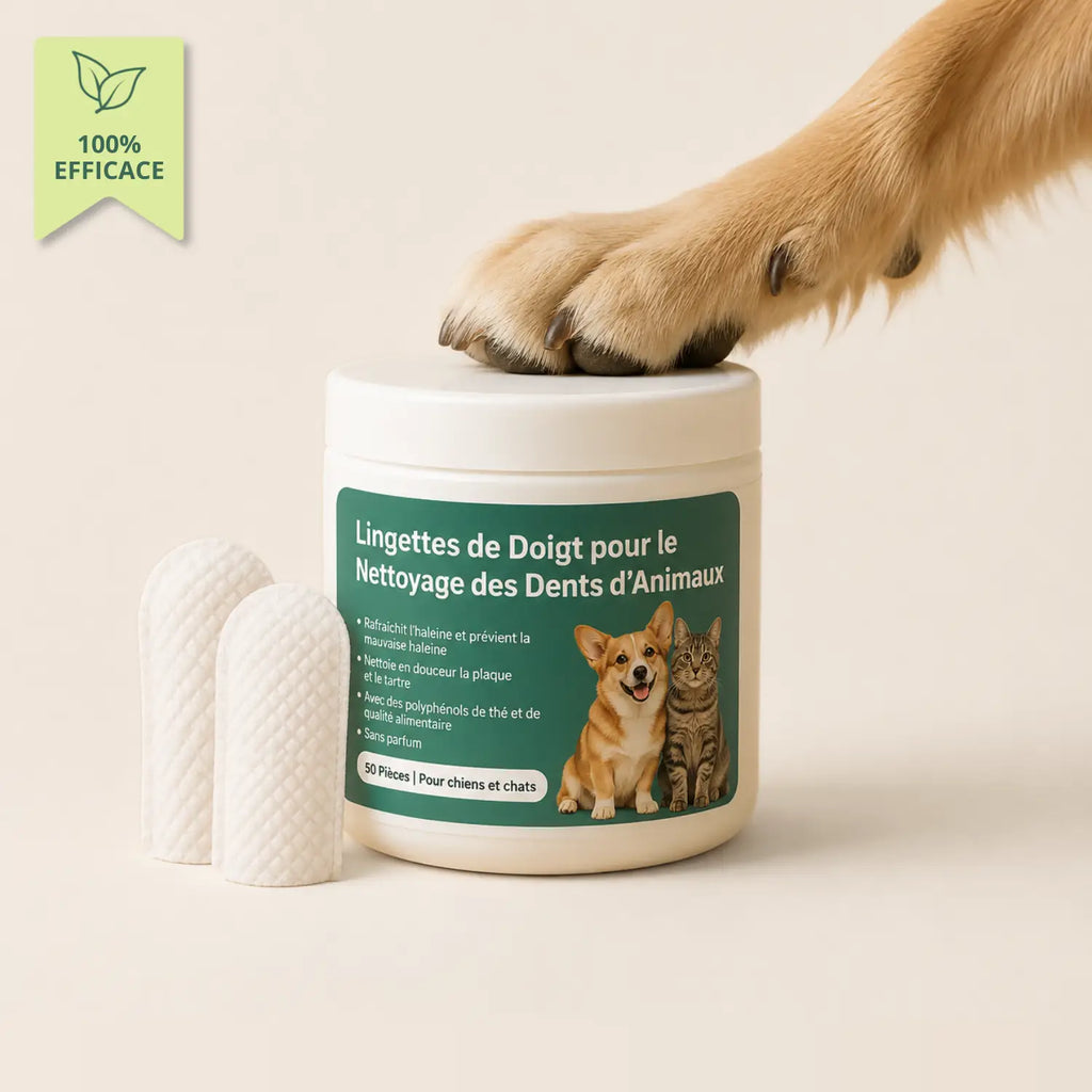 Lingettes Dentaires Anti-tartre