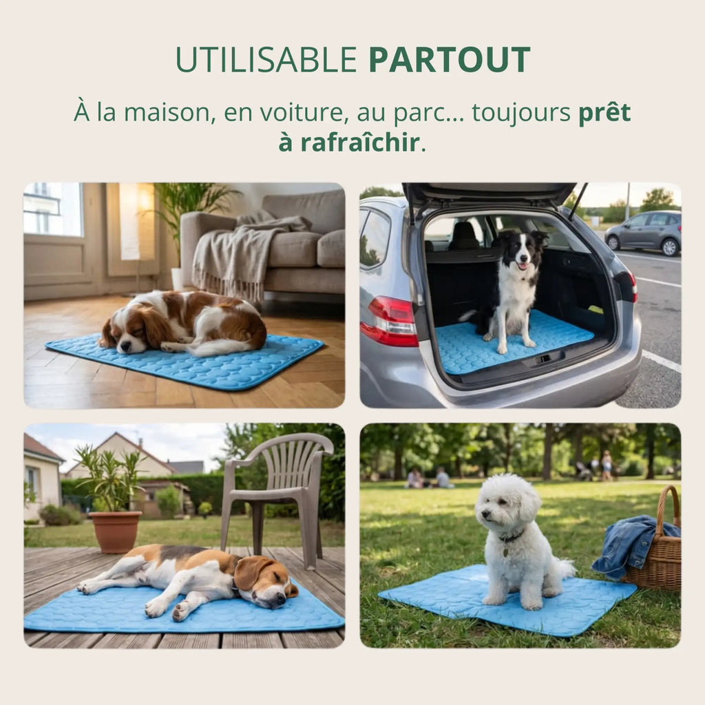 Tapis rafraîchissant ChillPaws™