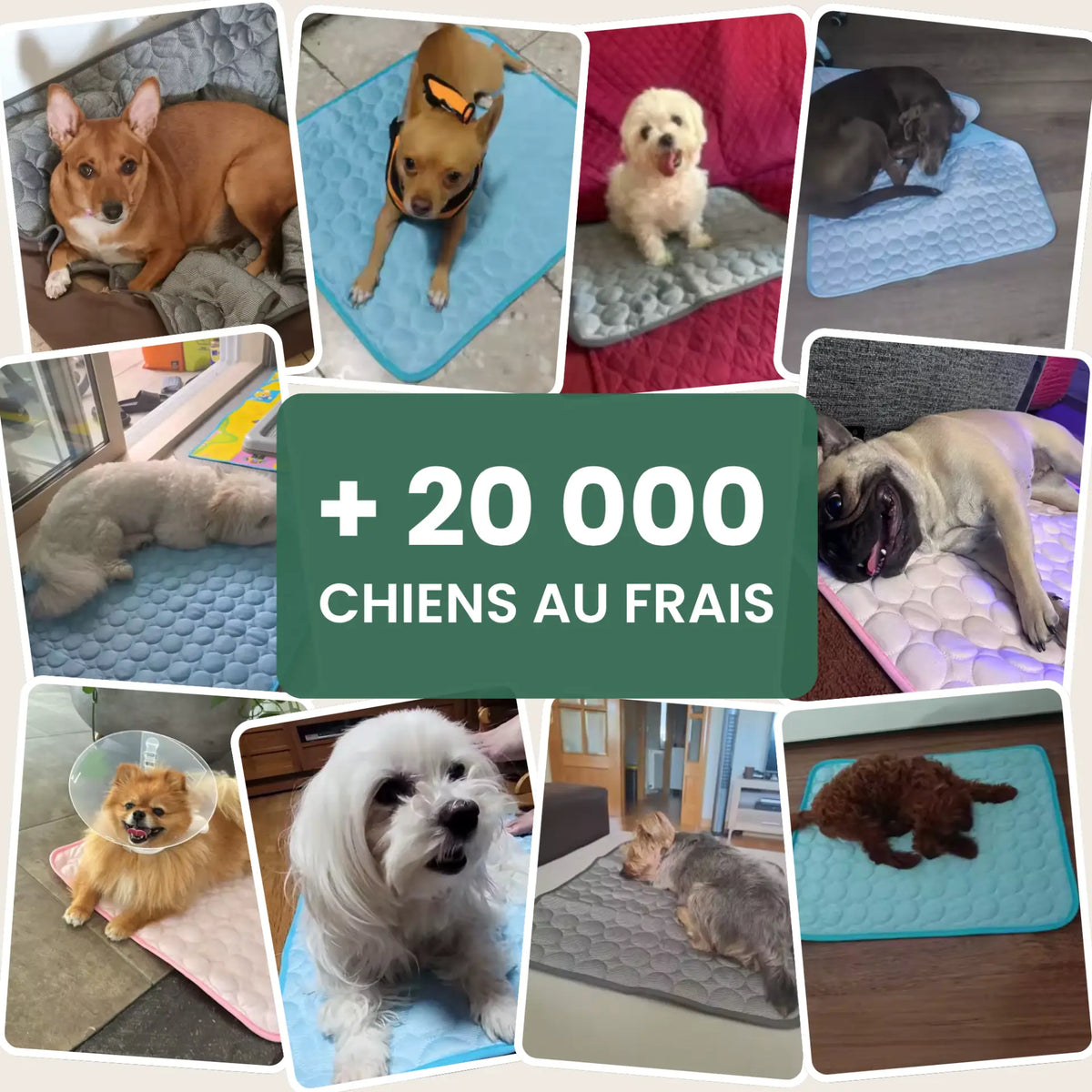 Tapis rafraîchissant ChillPaws™