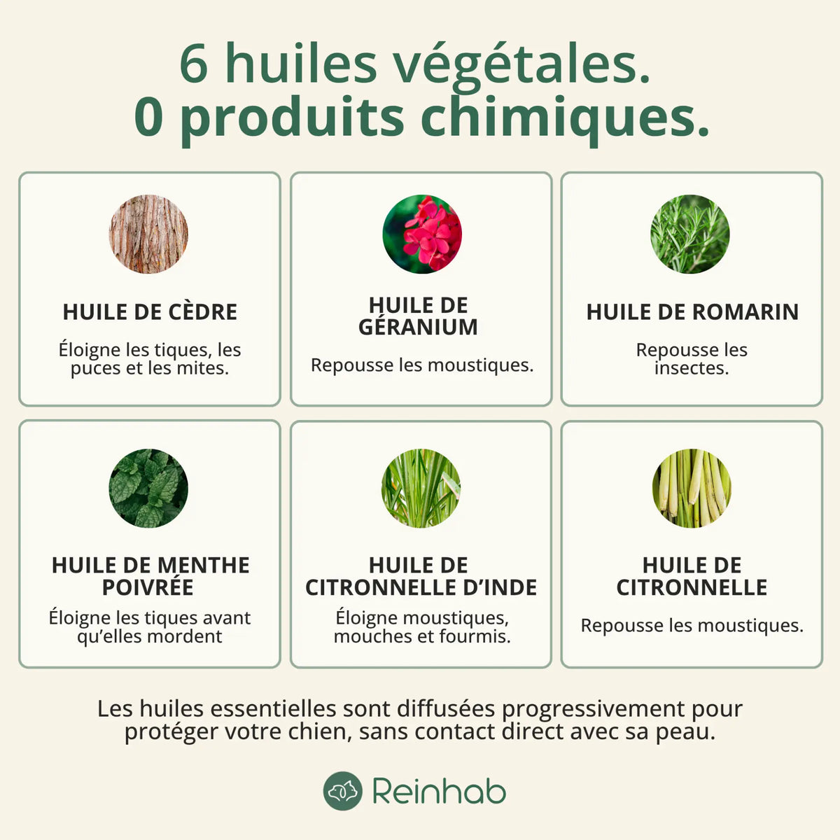 Médaillon Répulsif Naturel pour chat