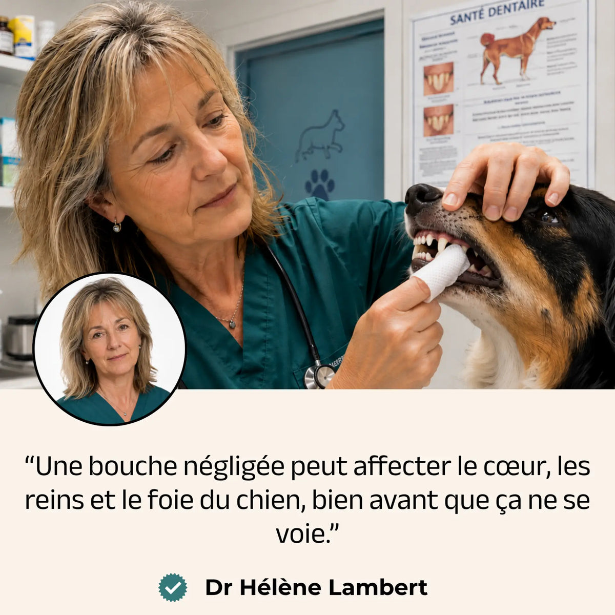 Lingettes Dentaires Anti-tartre