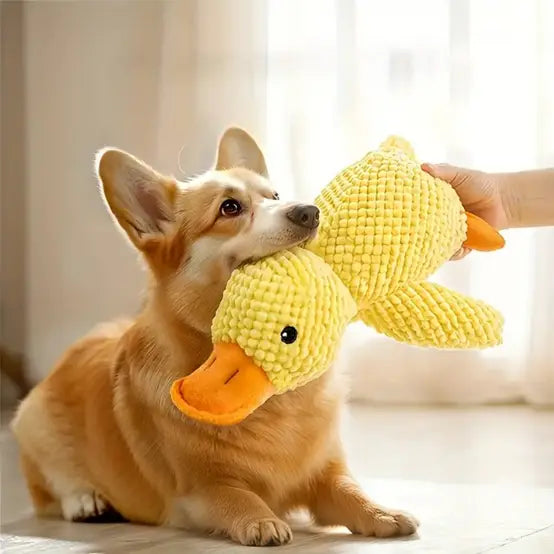 Canard anti-stress