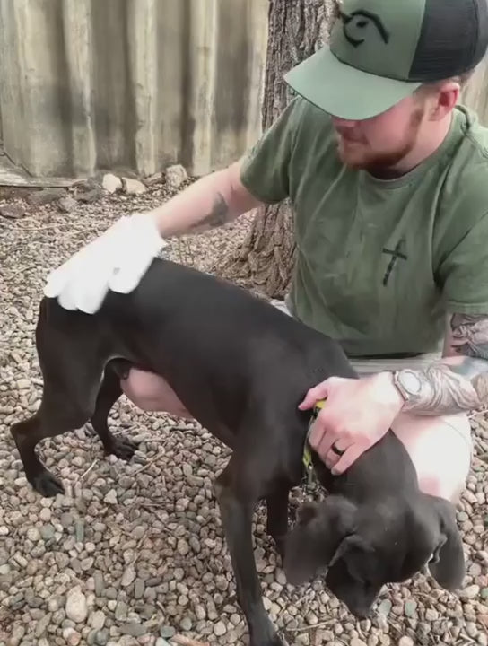 Vidéo