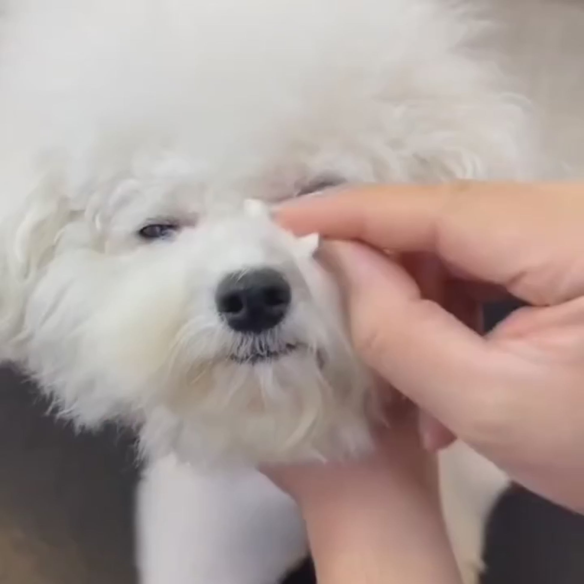 Vidéo